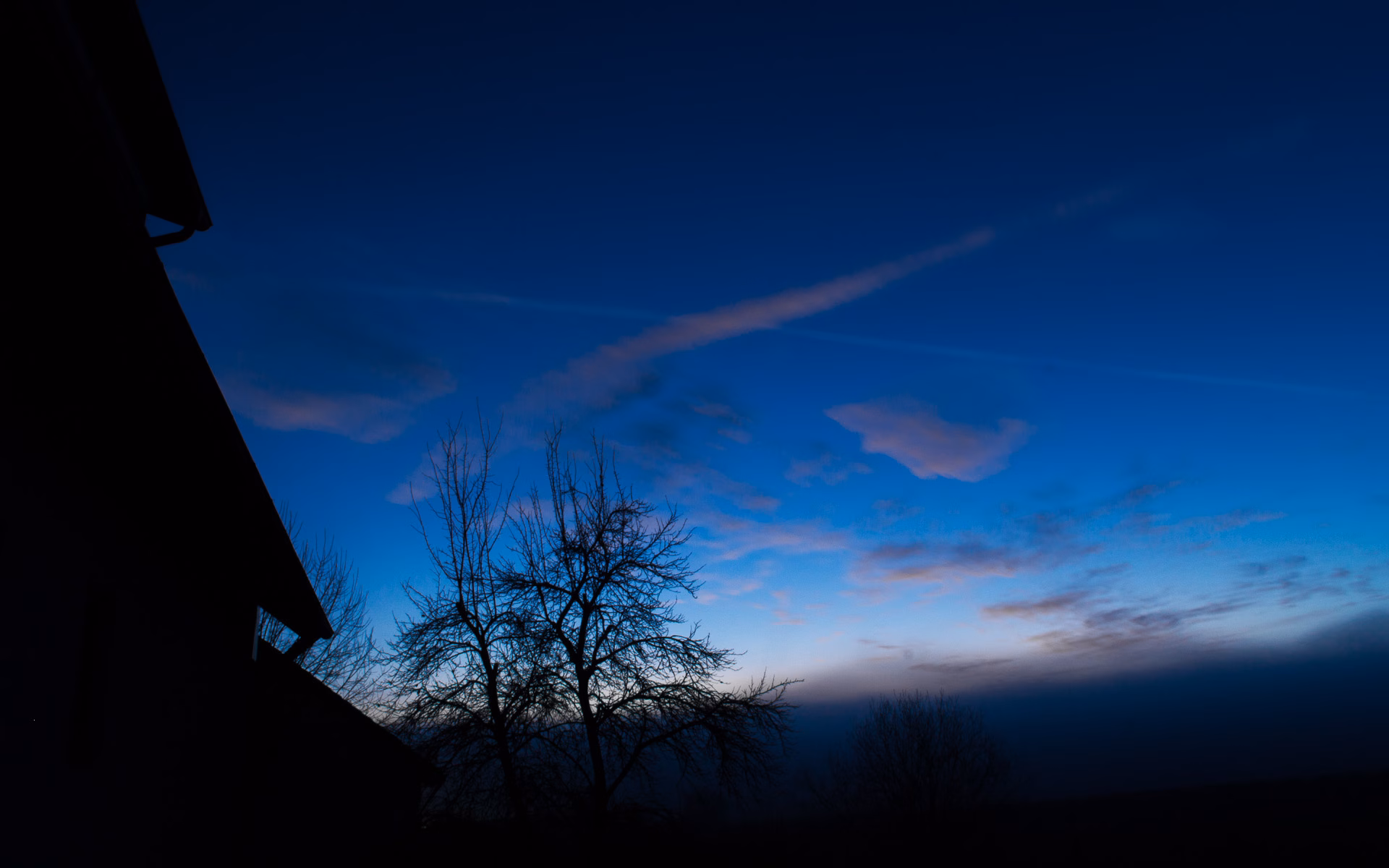 Blauer Himmel über Grafenwöhr Silhouette eines kahlen Baumes vor blauem Abendhimmel bei Grafenwöhr
