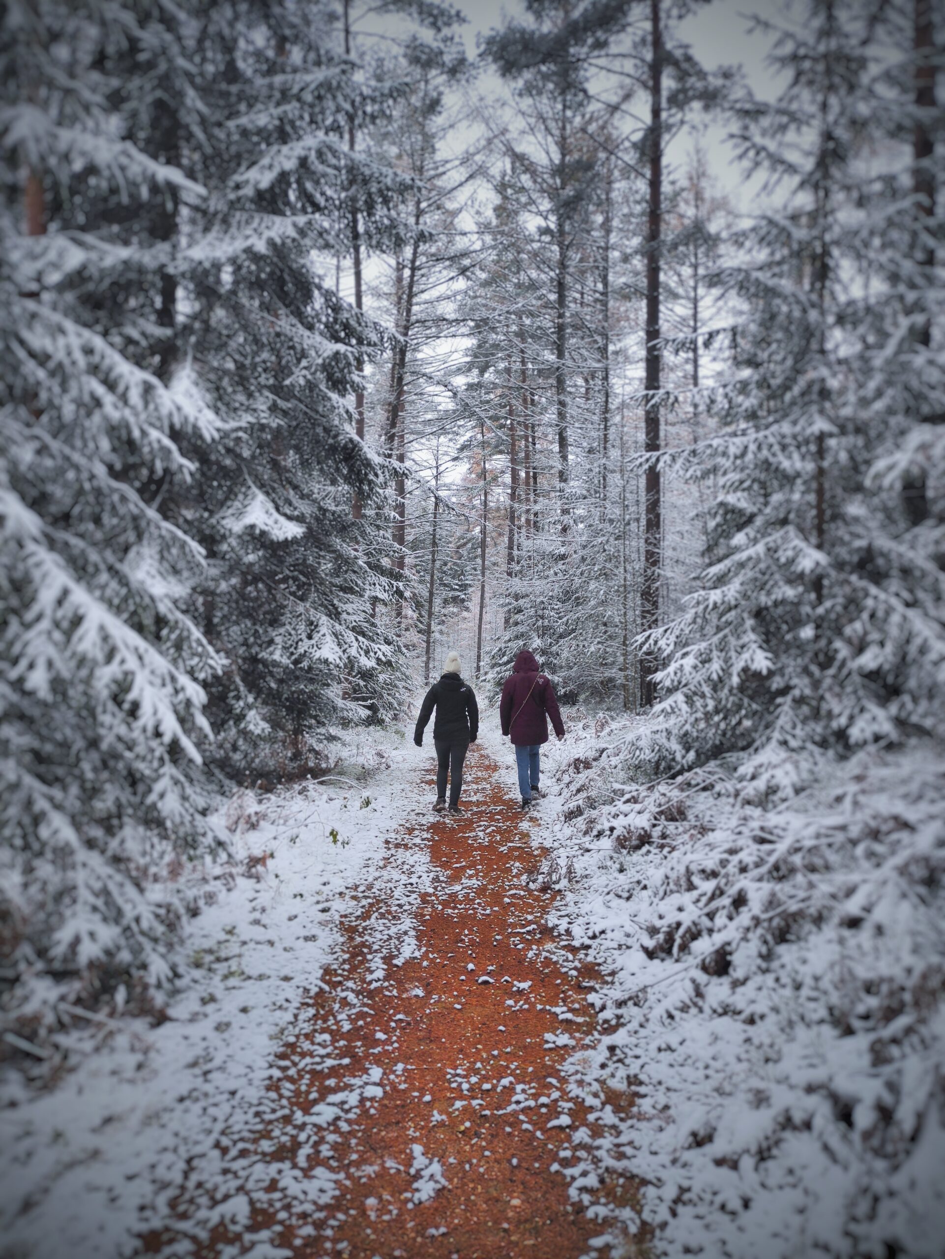 Winterwonderland – Winterleite Pressath Winterwonderland - Winterleite Pressath